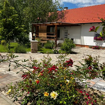 Bed & Breakfast Dreko Panzio & Borbisztro 4*